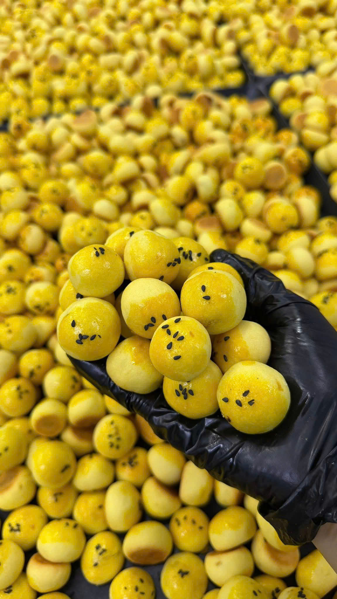 Những viên bánh dứa vàng ươm